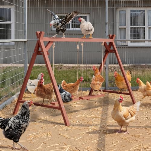 PETSFIT Wooden Solid Chicken Perch & Roosting Bars with 2 Swings, 50"x30"x34" Coop Toy for 6–8 Hens, Multi-Level Stand Encourages Exercise & Natural Behavior, Easy to Assemble & Clean,Outdoor Use - size: 50"L x 30"W x 34"H