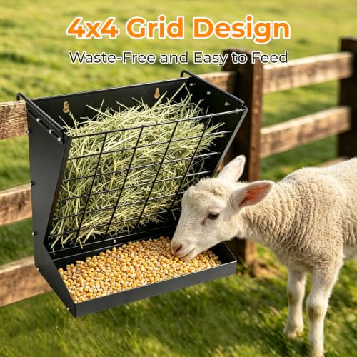 2 in 1 Wall Mount Hay and Grain Feeder,Livestock Feeder | Galvanized Steel Hay Feeder Rack,Large Capacity,For Goats/Sheep, Horses, Cattle,Barn Farm Pens