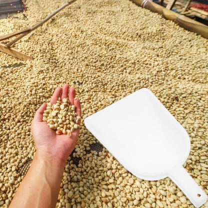 Plastic Poultry Feed Shovel Large Capacity Versatile White Pp Shovel Tool for Feeding and Farming Livestock with Sturdy Handle for Easy Scoop and Farm Use