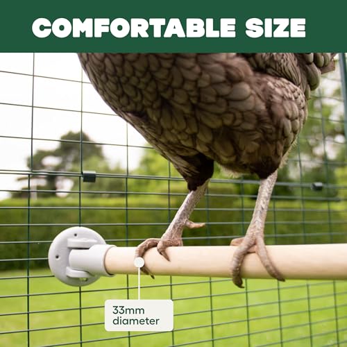 Omlet Chicken Perch | Eucalyptus Wood Roosting Bar for Poultry Runs | Weather-Resistant Outdoor Chicken Perch with Innovative Bracket Design | Fun and Durable Hen Accessory | 3ft - size: 3ft