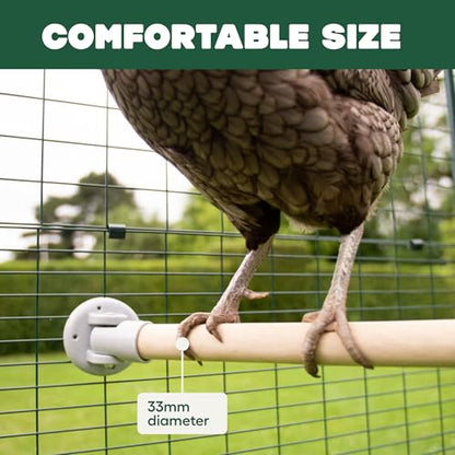 Omlet Chicken Perch | Eucalyptus Wood Roosting Bar for Poultry Runs | Weather-Resistant Outdoor Chicken Perch with Innovative Bracket Design | Fun and Durable Hen Accessory | 3ft - size: 3ft