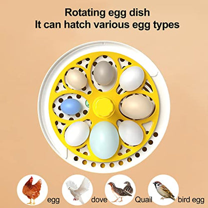 Tissting Mini Egg Incubator, Digital Incubators for Hatching Chicks, Holds 4 Eggs, Automatic Turner with Temperature and Humidity Control