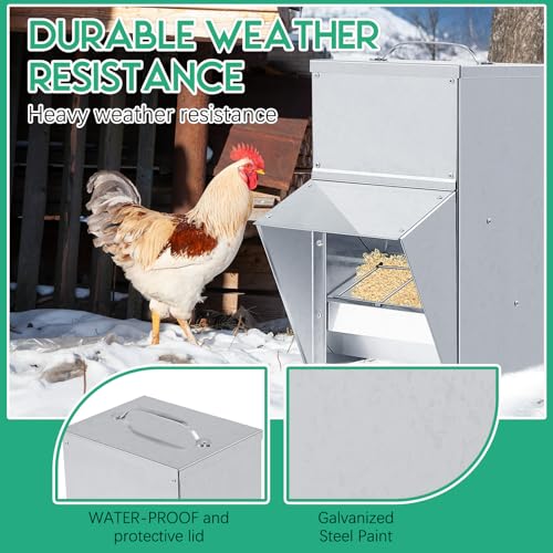 Uiifan 2 Pcs 50 lb Galvanized Chicken Feeder Weatherproof Poultry Metal Food Dispenser with Lid Chicken Duck Food Dispenser Rat Proof Feeder for Poultry Geese Quails Bantams Ducks and Turkey - size: 50 lb