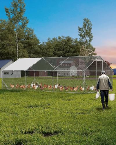 Heavy Duty Large Metal Chicken Coop for Hens –Walk-in Poultry Cage with Waterproof UV-Resistant Cover ＆ Reinforcing Ribs, Ventilated Peaked Roof Outdoor Hen House for Backyard, 9.8'Wx19.7'Lx6.6'H - size: 118.1"L x 78.7"W x 78.7"H