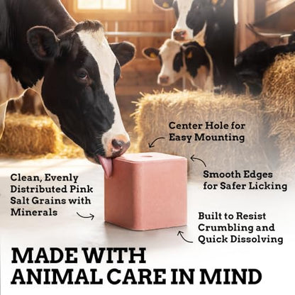Salt Block for Deer & Horses – Compressed Mineral Salt Lick for Livestock, Cattle & Goats – Himalayan Secrets Pink Rock Salt Block (11LB/5KG, Block w/ Mounting Hole) - size: 11 Pound (Pack of 1)
