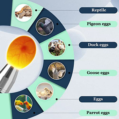 Egg Candlers for Chicken Eggs, 2026 New Egg Candling Light Tester Lamp Egg Checker Incubator for All Chickens Ducks Quail Dark Eggs 【Upgraded USB Charger】 - color: Black