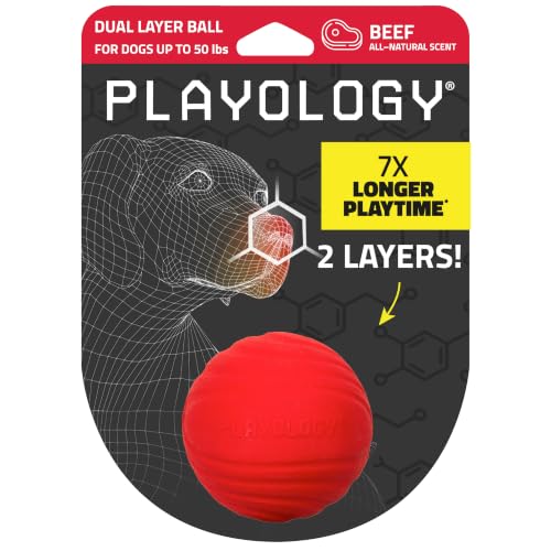Playology Dog Toys | Dual Layer Ball Durable Chew Toy for Tough Chewers | Beef Scented Medium Dog Toy | Chew Toys for Dogs - size: Medium, style: Beef