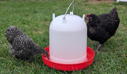 Hen's Choice 8L/2.1 gal Chicken Waterer, Adjustable Legs (Red) - color: Red
