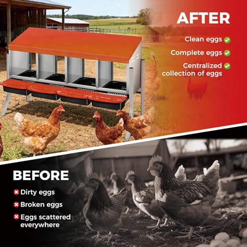 Chicken Nesting - color: Orange, size: 4 holes with legs