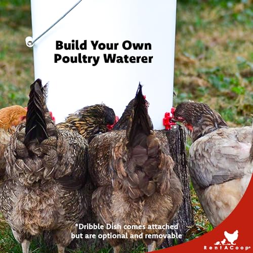 RentACoop DIY Waterer Kit - Horizontal Nipples with Dribble Dish and Installation Tool - Great for Chickens, Turkeys, Peafowl, and Other Poultry - 6 Pack - size: 6 Pack