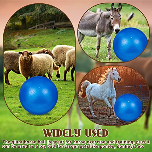 Sotiff 2 Pcs 40 Inch Horse Ball for Play Large Horse Big Equine Herding Anti Burst Dog Ball Soccer Giant, Pump Included(40 Inch,Blue) - color: Blue