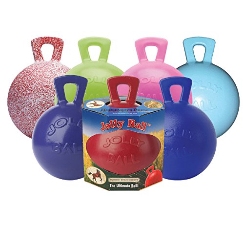 Horsemen's Pride 10" Horse Jolly Ball Peppermint Scented - color: Peppermint Scented, size: 10 Inch