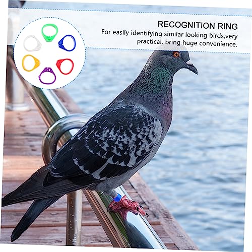 Abaodam 100pcs Poultry Foot Ring Leg Bands Bird Duck Chicken Leg Band Clip Ring Smooth Pigeon Dove Foot for Easy Identification