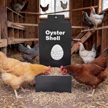 Takywep 2 Pack Galvanized Metal Chicken Feeder, Rainproof Large Capacity Anti-Waste Wall Mount Poultry Feeder for Chicken Duck Pigeon Turkey Backyard Outdoor