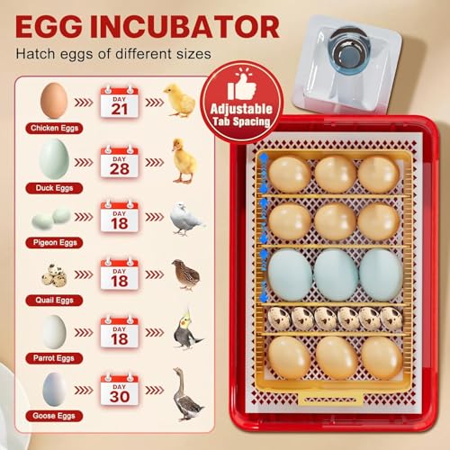 Incubators for Hatching Eggs 15-35 Eggs Incubator with Automatic Egg Turning and ℉Temperature Display LED Candler Poultry Incubator for Hatching Chicken Duck and Quail Incubator (Red)