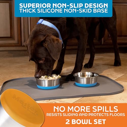 Master Pet Supply Stainless Steel Dog Bowls Set of 2 with Extra Thick Silicone Base - 2 Cup (16 oz) Mango Tango, Non-Slip, Dishwasher Safe Metal Bowls, Pet Dog Food Bowl for Dogs, Cats, Anti Rust - color: Mango Tango, size: 2 Cups (16 oz) 2 Pack