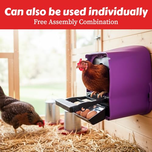 My Favorite Chicken Chick Box Lite Rollaway Nesting Box for Chickens – Single Hole Hen Laying Nest Box with Foldable Perch, Wall Mount, Ventilated Plastic Chicken Nest Box