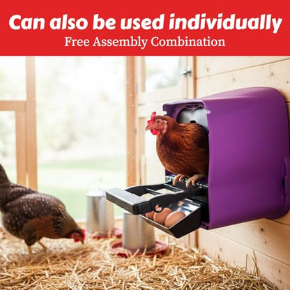 My Favorite Chicken Chick Box Lite Rollaway Nesting Box for Chickens – Single Hole Hen Laying Nest Box with Foldable Perch, Wall Mount, Ventilated Plastic Chicken Nest Box