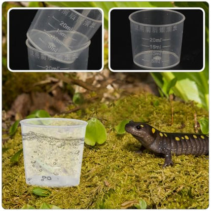 HEMOTON 30pcs Reptile Feeding Cups Set 20ml Graduated Measuring Bowls for Lizard Gecko Water and Food Feeder Pet Terrarium Supplies