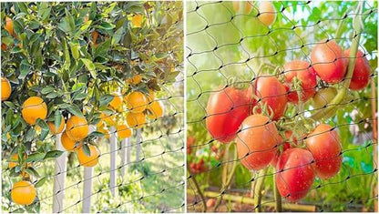 Bird Netting for Garden, 13Ft x 33Ft Reusable Garden Netting Plants Barrier, Plant Mesh Net Protect Fruit Tree Seedlings Plants from Birds, Cicadas, Rodents, Black - color: Black