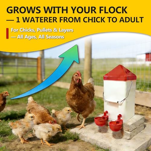 Hanging Chicken Waterer, 1 Gallon PVC Chicken Waterer with 2 Auto-Fill Cups & Horizontal Nipples, Hooks for 20mm×20mm+ Mesh, Suitable for Chicks, Chickens, Quail, Pigeons & Gamebirds