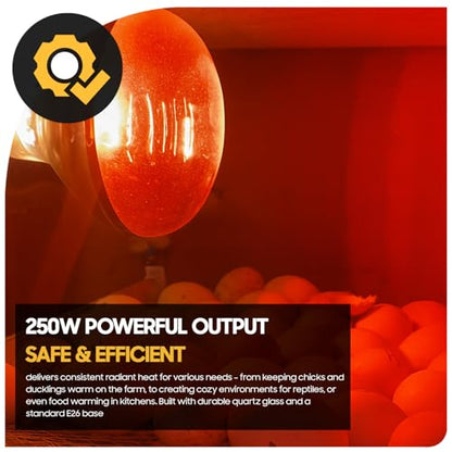 Seentech 250 Watt R40 Clear Heat Lamp Bulb – Infrared Flood Reflector Light, Incandescent Spotlight for Food Warmer, Brooder, Chicken Coop, Pet Heating, Bathroom, Light Therapy – E26 Base (1, Red) - color: Red