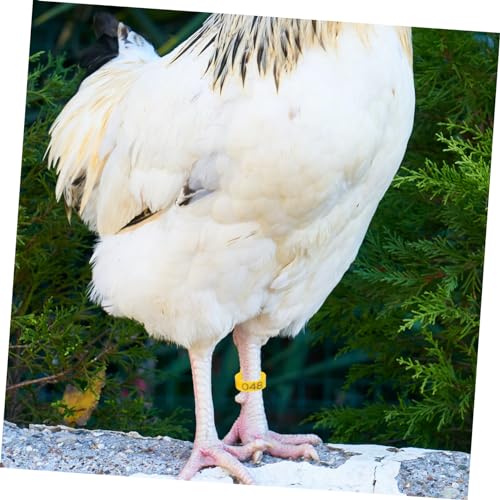 50pcs Poultry Leg Bands Durable Chicken Leg Rings for Easy Identification of Roosters Hens Lightweight Reusable Bright Colors for Marking Different Breeds