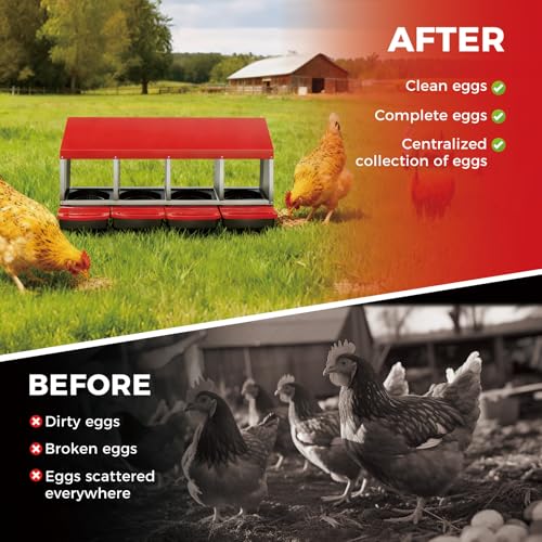4 Compartments Chicken Nesting Box – Roll Away Metal Egg Laying Boxes with Lid Cover, Easy Egg Collection & Ventilated Design for Hens, Ducks – Durable Hen Roosting Box for Coop