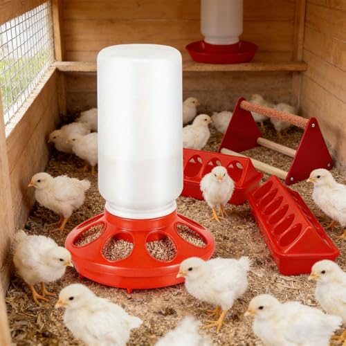 Easy to Chicken Feeder Waterer Set with Individual Feeding Holes Great for Farm or Home Use Chick Starter Set - color: B