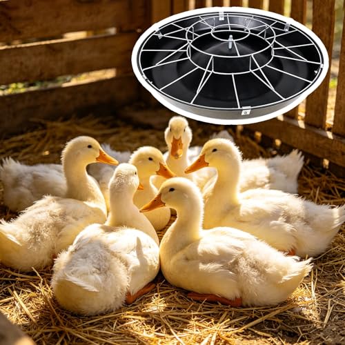 Round Livestock Feed Trough for Duck, Chicken, No Waste Outdoor/Indoor Piglet Feeder, Pasture Poultry Water Bowl Container, Easy to Install(Double Rack,80cm/31.5"(16 Slots)) - color: Double Rack, size: 80cm/31.5"(16 Slots)