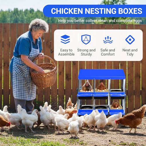Chicken Nesting Box 6-Hole Roll Away Egg Laying Box with Lid & Stand, Galvanized Steel Rustproof Poultry Coop Box, Wall Mountable No Bracket Needed for Hens, Blue - color: Blue, size: 6 holes with legs