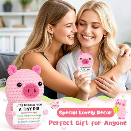 GevGuxLuo Positive Crochet Pink Pig Birthday Gifts for Women, Back to School Inspirational Cheer Support with Affirmation Cards for Teens Girl Women Friend Sister Daughter Trendy Stuff Cute Decor - style: Little Reminders