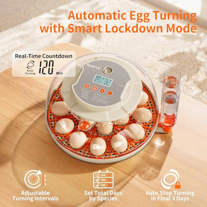 APDOE Egg Incubators for Hatching Eggs, Temperature and Humidity Control, Automatic Egg Turning, Egg Candler, External Water Bottle, Air Vent, for Chicken, Duck & Quail Eggs, 18 Eggs - size: 18 Eggs