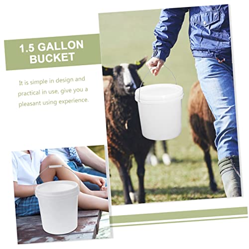 Food Grade Plastic Bucket with Lid Sealable Storage Container for Dry Liquid Products for Pet Food Livestock Feed and More