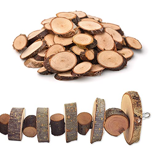 FJNATINH Small Animal Chews Toy Apple Wood Block Cage Hanging Molars Treats Snack for Hamsters Rabbits Bunny Bird Parrots Chinchilla Guinea Pig Gerbils Squirrels, 2 Pack