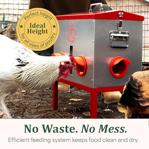 Automatic Chicken Feeder 40lb – Large Metal Poultry Feeder with 6 Ports, Galvanized No Waste Feeder with Secure Lid & Feed Window for Outdoor Coop