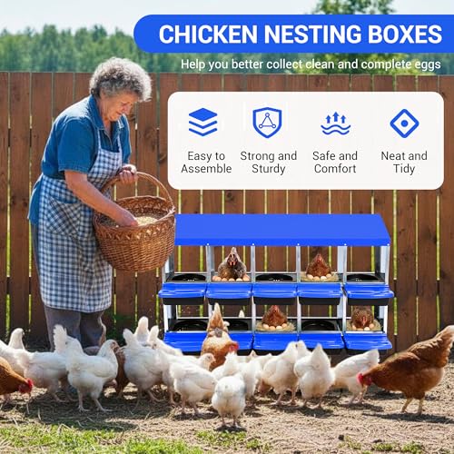 Chicken Nesting Box 10-Hole Roll Away Egg Laying Box with Lid, Galvanized Steel Rustproof Poultry Coop Box, Easy Clean, Wall Mountable No Bracket Needed for Hens, Blue - color: Blue, size: 10 holes
