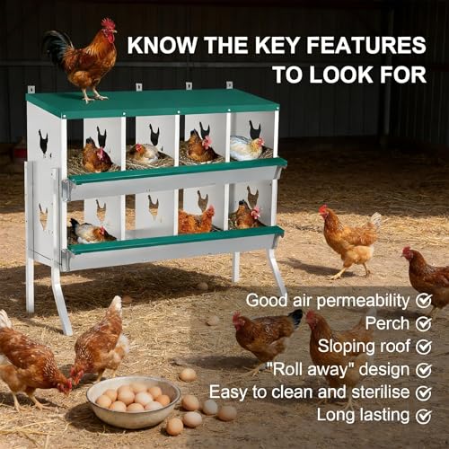 Wall Mounted Chicken Nesting Box – Weather Resistant Galvanized Steel Poultry Nest with 10 Absorbent Pads & 4 Fake Eggs, Egg Roll-Away System & Protective Lid for Coop, Barn, Backyard Hen House - size: 8 Room&Mat eggs