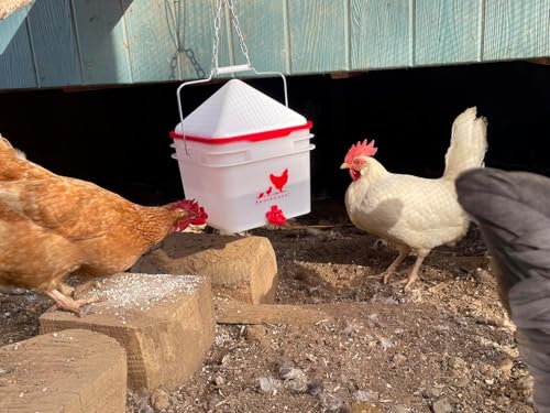 RentACoop 25lb BPA-Free Chicken Feeder with Large Ports - 2025 Version