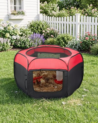 Magicfly Brooder Box for Chick, Pop-Up Chicken Brooder Box with Dual Doors, Brooder Box for Chicks Starter Kit Includes Chicken Feeder, Waterer, Perch, Holds up to 15 Chicks, Ducks & Quail - color: Basic Starter Kit