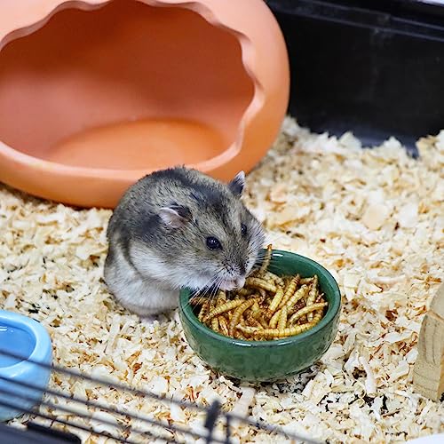 2 Pack Hamster Feeding Bowl, Hedgehog Ice Crack Design Ceramic Dish, Rat Gerbil Small Animal Food and Water Bowl (Colors May Vary)
