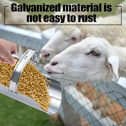 Domensi 2 Pack Galvanized Steel Feed Scoop Set-4 Qt & 2.5 Qt Heavy Duty Metal Grain Scoop for Livestock, Horse, Chicken & Dog Food – Durable Farm Utility Scoops, Rust Resistant, Easy Clean