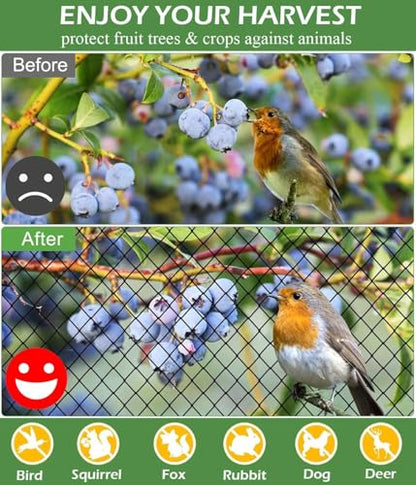 Bird Netting for Chicken Coop 16 X 50 Ft 2" Square Mesh Heavy Duty Chicken Run Netting Roof Cover Against Hawks, Eagles, Owls, UV Resistant, for Garden, Fruit Tree, Plant, Vegetable Protection - size: 2 inch mesh - 16 x 50 ft