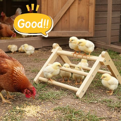 Innoland Chick Perch Foldable, Perch for Chicks Stable & No Assemble, Chick Roosting Perch for Stand Training, 11.02" × 9.84" × 6.10" Baby Chick Toys for Chicken Brooder | Coop (M) - size: 11.02" × 9.84" × 6.10"