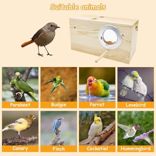 PINVNBY Large Natural Wood Parakeet Nesting Box Budgie Breeding Box Acrylic Bird Nest for Cage Transparent Panoramic for Birds, Parrots, Cockatiels, Lovebirds, Canaries (XL: 13.3 x 7.8 x 7.08 inch) - size: XL: 13.3 x 7.8 x 7.08 inch