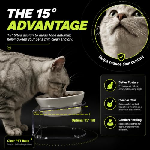 LivLab Mker Raised Cat Bowl, Elevated Cat Food Bowls with Stand - 15° Tilted Shallow Cat Dish for Whisker Fatigue Relief, 4.5" Height for Easy Feeding, Lead & Cadmium Free Melamine Bowl, White - color: White