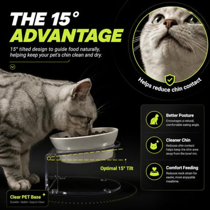 LivLab Mker Raised Cat Bowl, Elevated Cat Food Bowls with Stand - 15° Tilted Shallow Cat Dish for Whisker Fatigue Relief, 4.5" Height for Easy Feeding, Lead & Cadmium Free Melamine Bowl, White - color: White