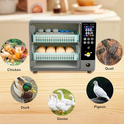 24 Egg Incubator, Automatic Egg Turner Hatching Machine with Candling Light Auto Water & Automatic Temperature & Humidity Control | Adjustable Egg Tray for Chicken Duck Quail Pigeon