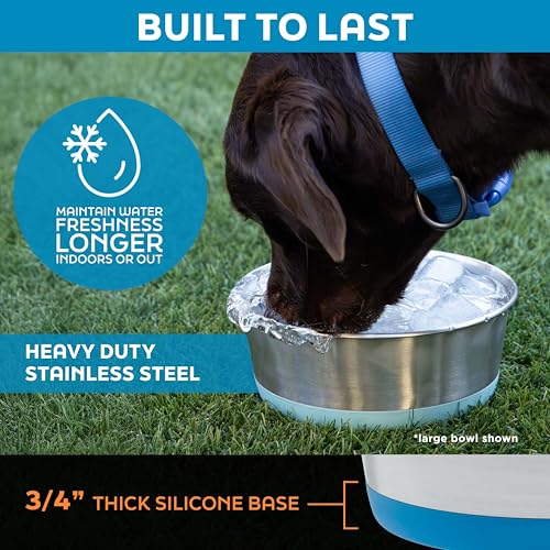 Master Pet Supply Stainless Steel Dog Bowls Set of 2 with Extra Thick Silicone Base - 8 Cup (64 oz) Graphite, Non-Slip, Dishwasher Safe Metal Bowls, Pet Dog Food Bowl for Dogs, Cats, Anti Rust - color: Graphite, size: 8 Cups (64 oz) 2 Pack