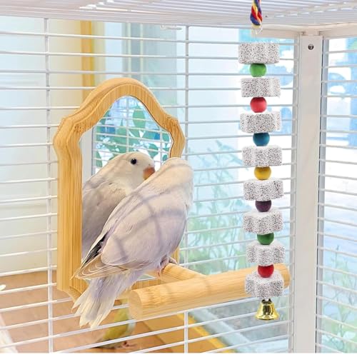 2 Pack Mineral Block Chicken Chewing Toy, KABASI Bird Beak Grinding Calcium Stone with Bells, Chicken Coop Accessories for African Grey, Budgies Cockatiels Parrot Hens Geese Ducks Hamster Rabbit